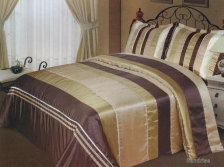 ���� SANDRISE